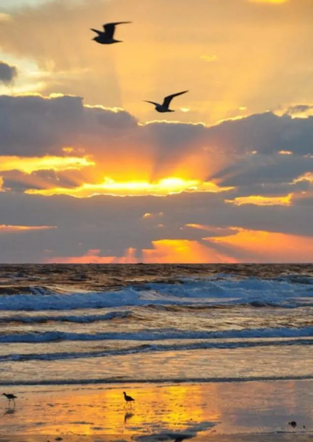 Great Vibes Βίλα Panama City Beach